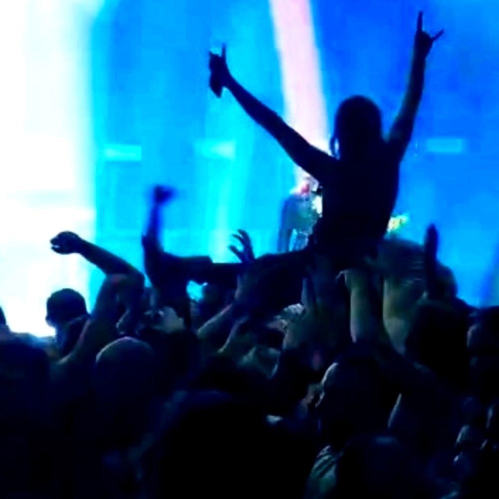 Meet your Posher, Michelle